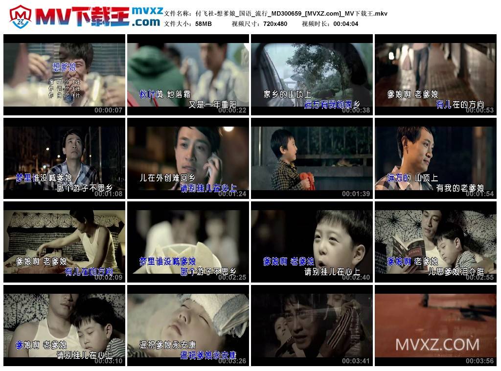 付飞社-想爹娘_国语_流行_MD300659